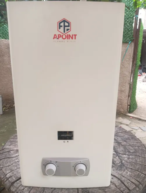 chauffe bain a gaz APOINT 11 LITR