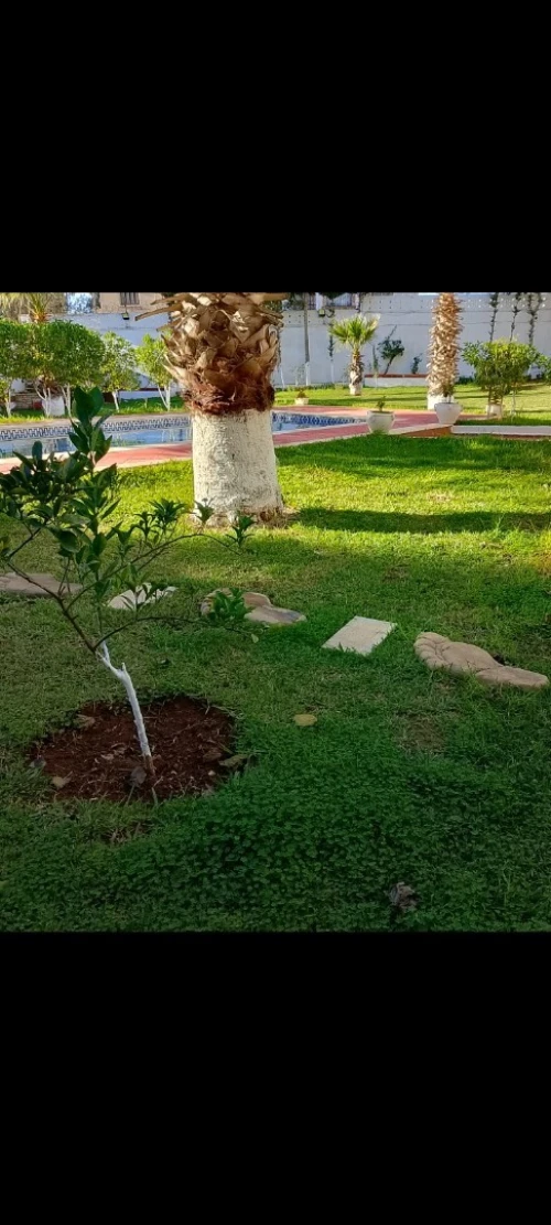 Location Villa Alger Dely brahim