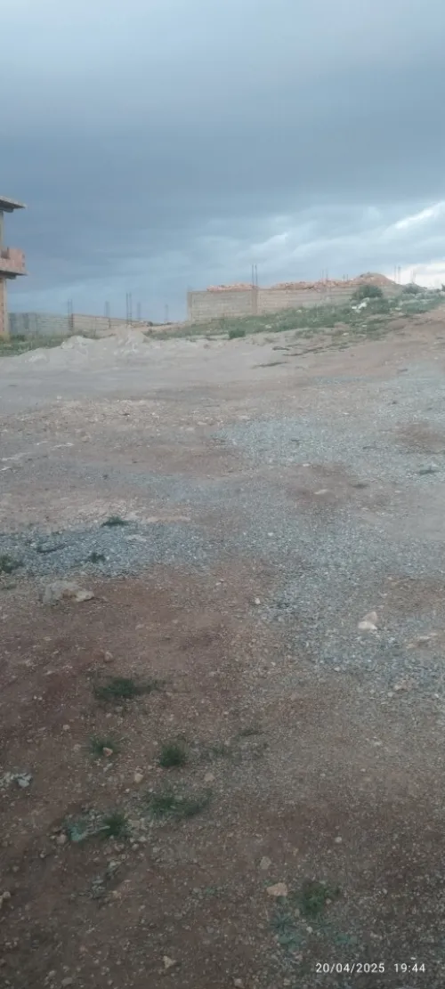 Vente Terrain Aïn Témouchent Sidi safi