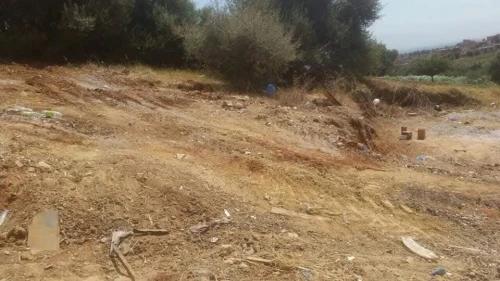 Vente Terrain Alger Douera