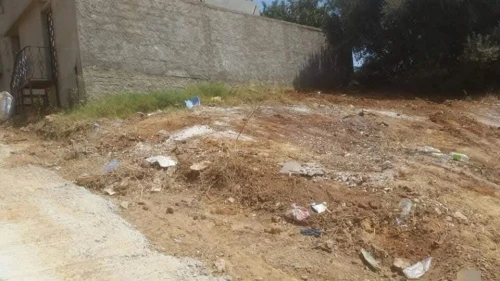 Vente Terrain Alger Douera