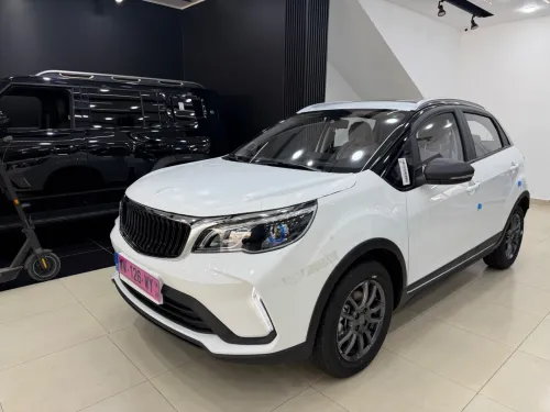 Livan X3 Pro  2026 Automatique (Avec toi ouvrant )