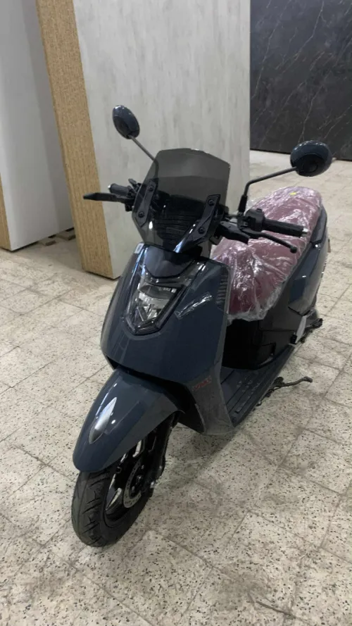 VMS GEMMA 2025