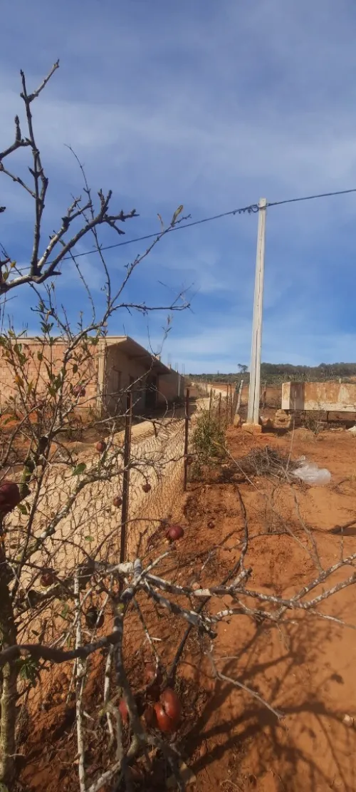 Vente Terrain Mostaganem Sidi ali