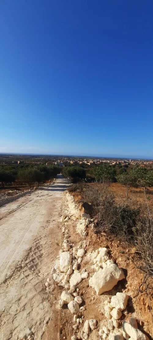 Vente Terrain Mostaganem Sidi ali