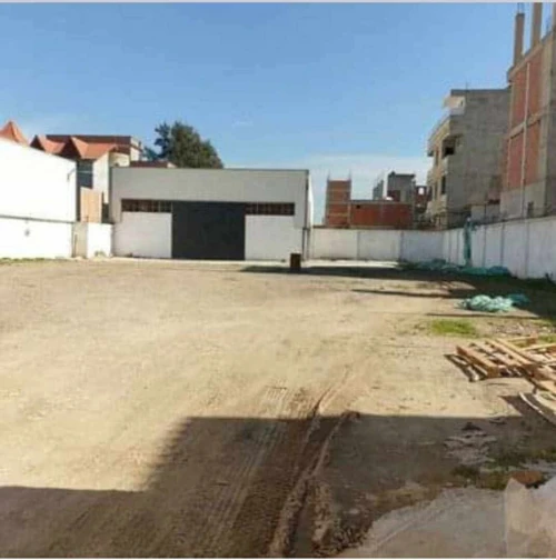 Vente Hangar - Usine Blida Ouled selama