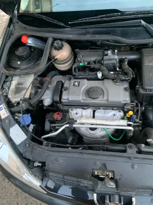 Peugeot 206 2004 206
