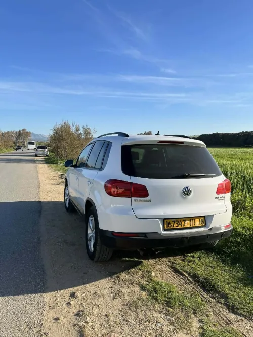 Volkswagen Tiguan 2011 Tiguan