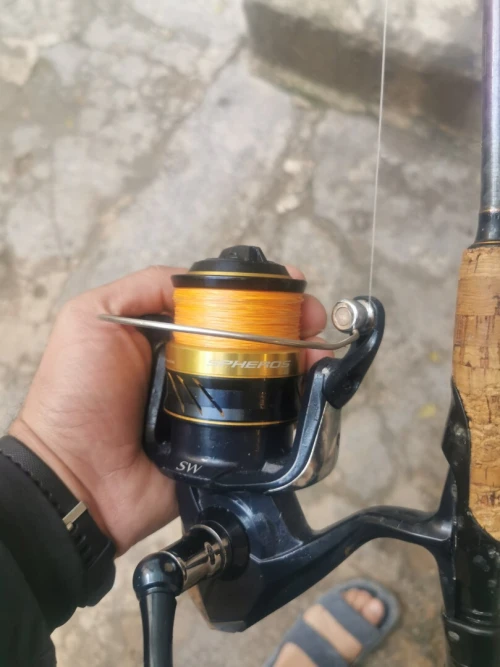 Canne à pêche bulzen