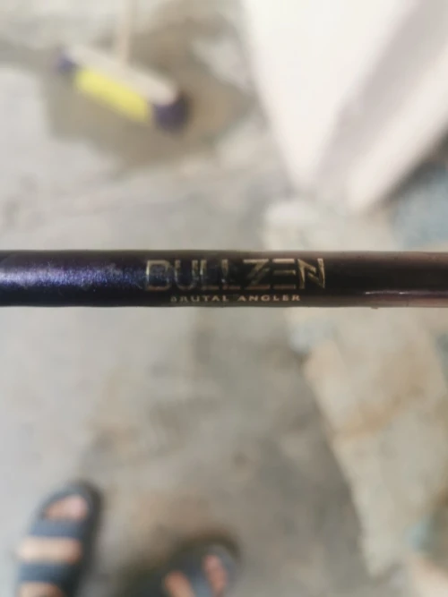 Canne à pêche bulzen