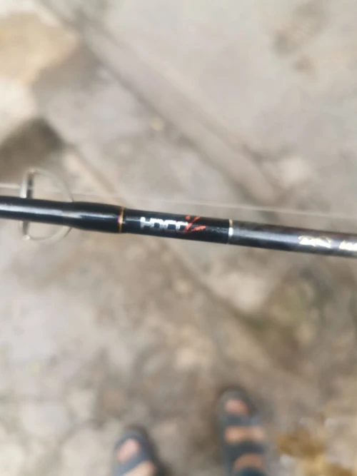 Canne à pêche bulzen