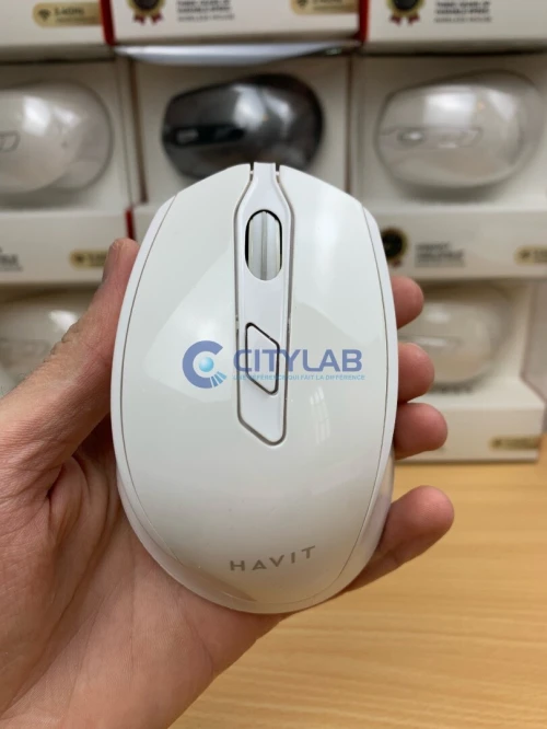 Souris sans Fil HAVIT MS622GT (WHITE/GRAY)
