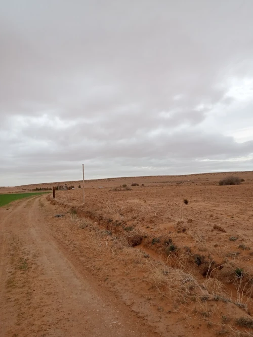 Vente Terrain Agricole M'Sila Zerarka