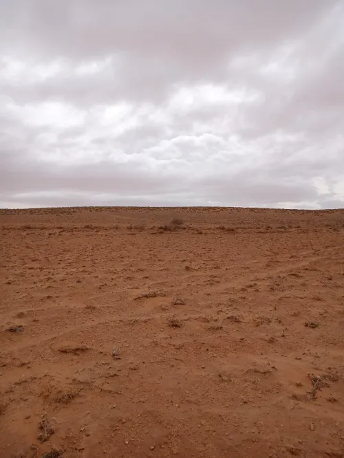 Vente Terrain M'Sila Zerarka