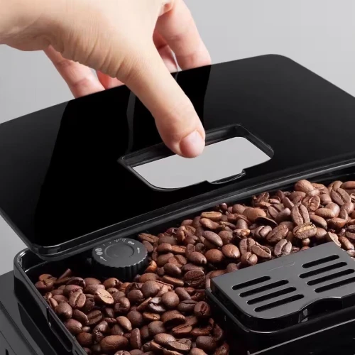 Delonghi Magnifica s Machines à café broyeur - 15 bars - buse à vapeur - 2 tasses ecam22 105 