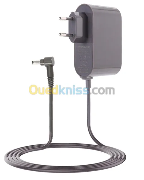 Chargeur original pour aspirateur DYSON V15 , V8 
