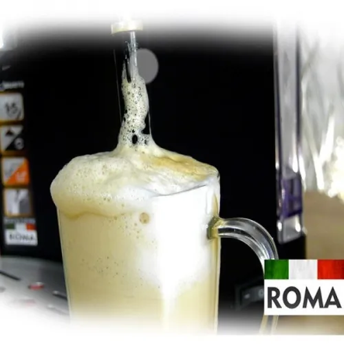 Robust Machine a cafe a bras Roma Electrique Espresso - 15 Bar -1100 Watts