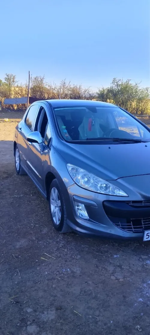 Peugeot 308 2010 Platinum 