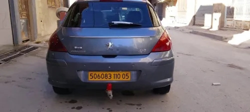 Peugeot 308 2010 Platinum 