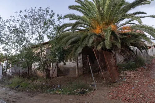 Vente Terrain El Tarf Drean