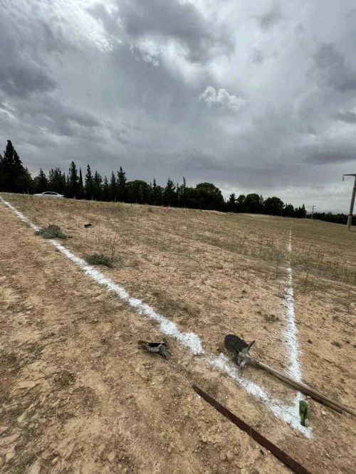 Location Terrain Sétif Mezloug