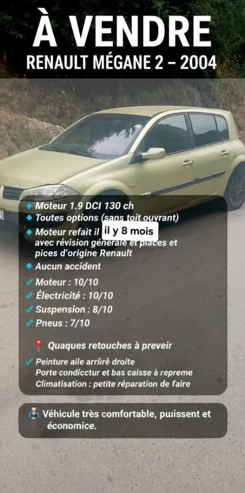 Renault Megane 2 2004 Megane 2