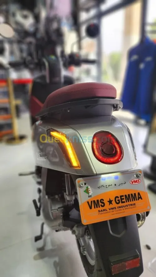 VMS GEMMA GEMMA 2026