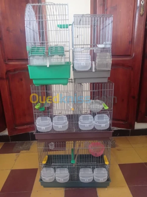 Vend 4 cages à oiseaux 