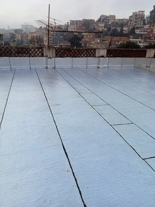 Travaux Etanchetie 