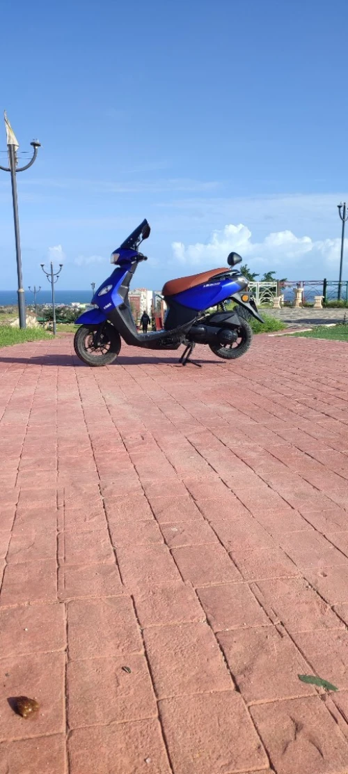 Vms voci