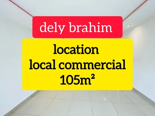 Location Local Alger Dely brahim