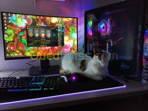 Setup gaming 