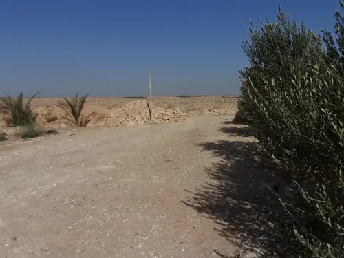 Vente Terrain Agricole Biskra Doucen