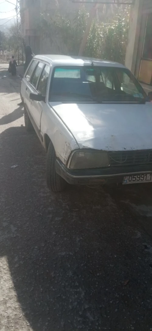 Peugeot 505 1990 505
