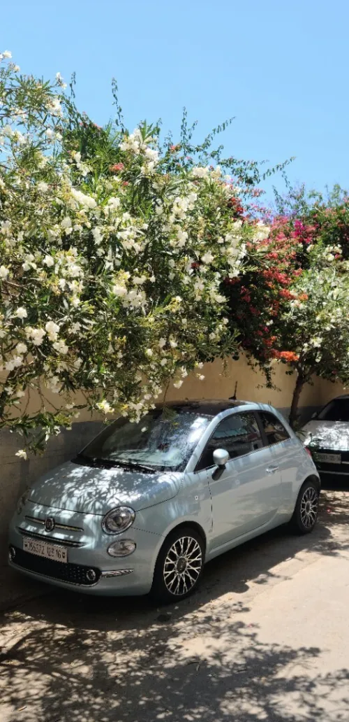 Fiat 500 2023 Dolcevita plus 