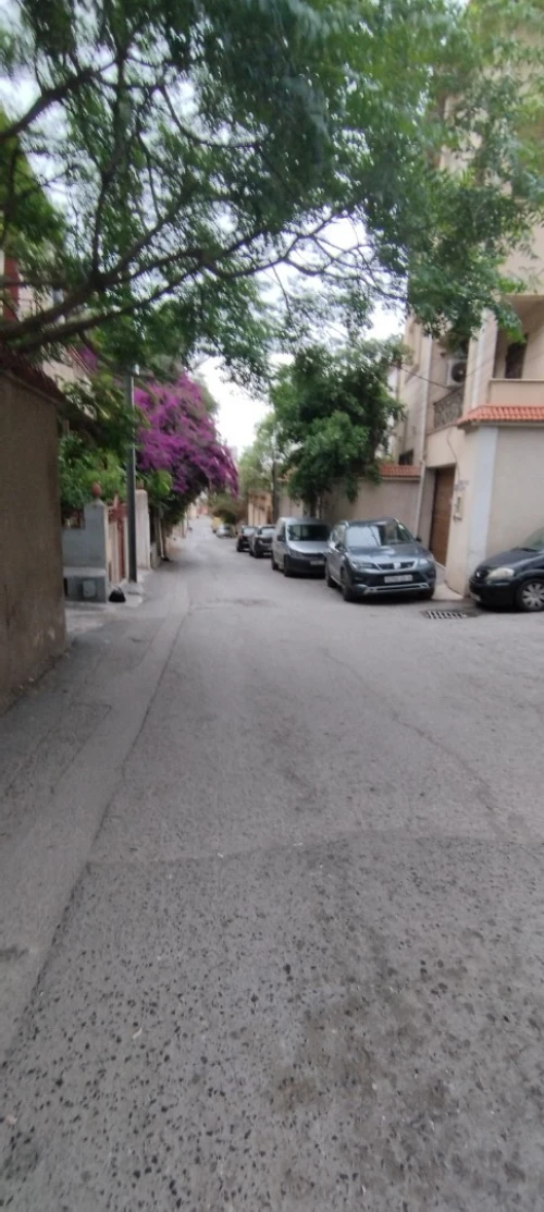 Vente Villa Alger El mouradia