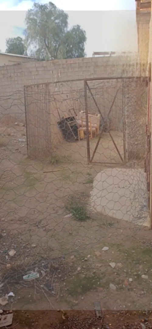 Vente Sidi Bel Abbès Boukhanafis