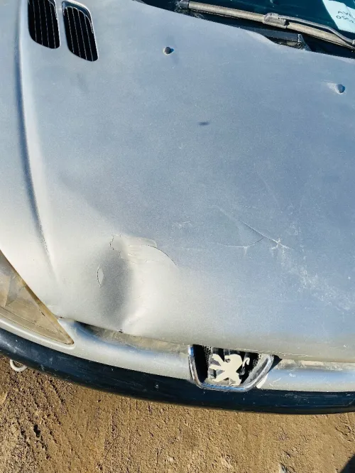 Peugeot 206 2005 206