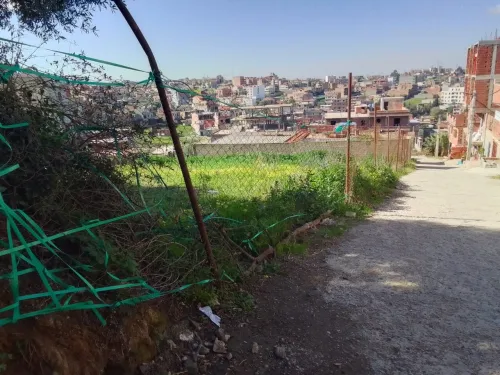 Vente Terrain Boumerdès Ouled moussa
