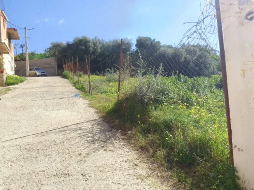 Vente Terrain Boumerdès Ouled moussa
