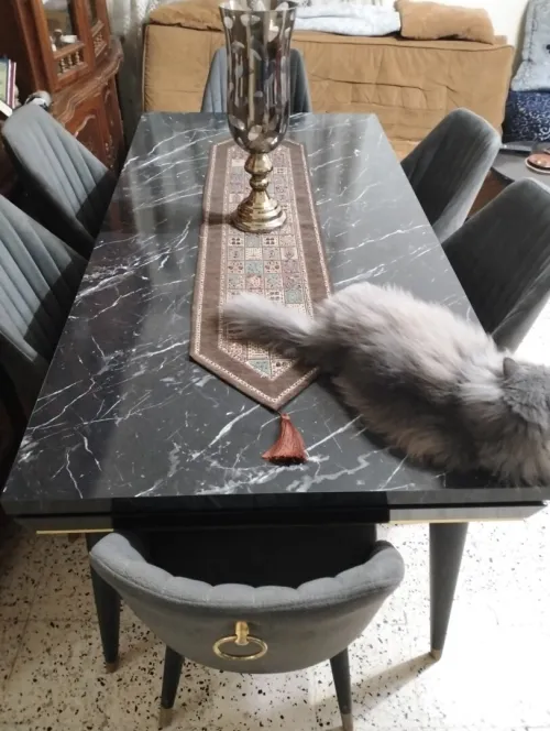 Table en marbre avec 6 chaises
