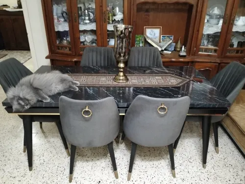 Table en marbre avec 6 chaises