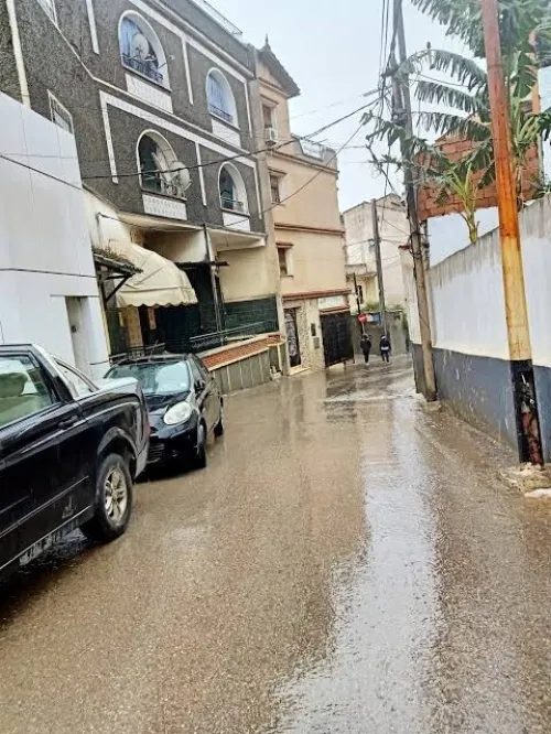 Vente Terrain Alger El mouradia