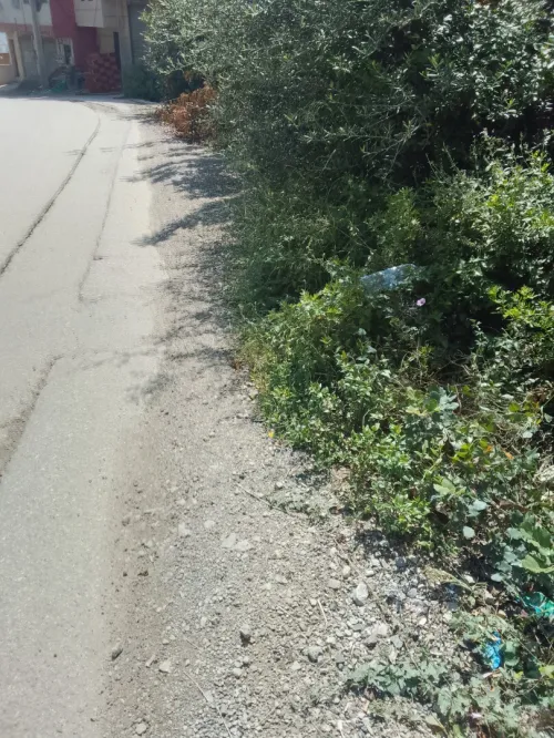 Vente Terrain Béjaïa Bejaia