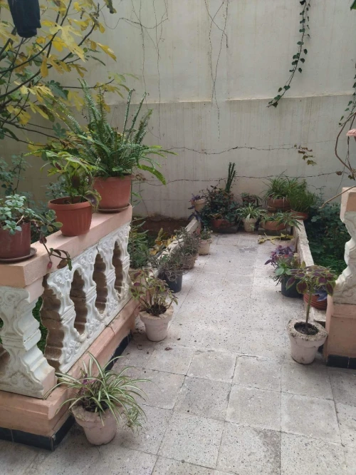 Vente Villa Guelma Guelma
