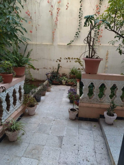Vente Villa Guelma Guelma