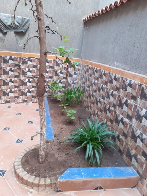 Vente Villa Oran Bousfer