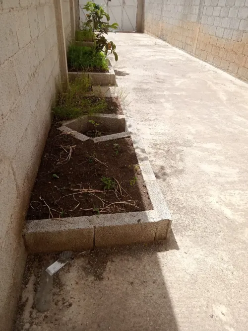 Vente Villa Constantine El khroub