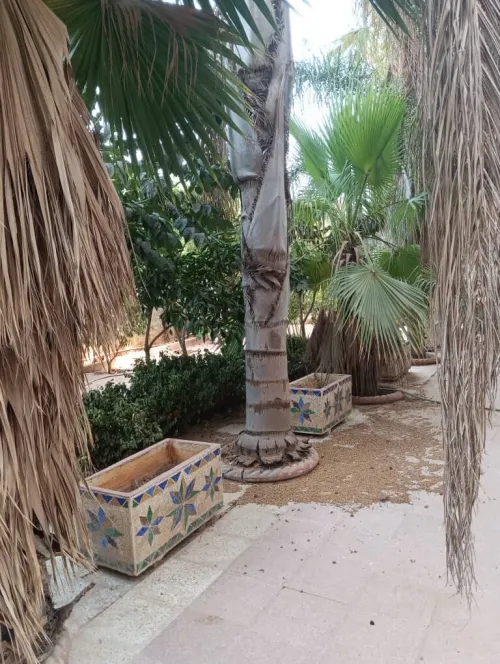 Vente Villa Alger Douera