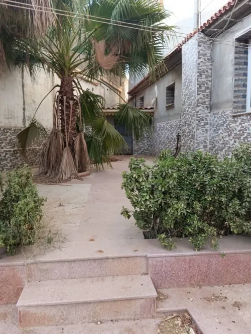 Vente Villa Alger Douera